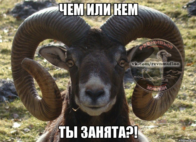 чем или кем ты занята?!