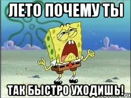 лето почему ты так быстро уходишь!