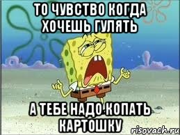 то чувство когда хочешь гулять а тебе надо копать картошку, Мем Спанч Боб плачет