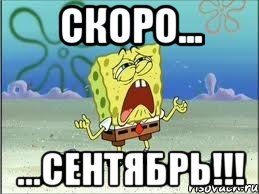 Скоро... ...Сентябрь!!!, Мем Спанч Боб плачет