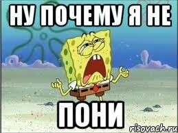 Ну почему я не пони, Мем Спанч Боб плачет