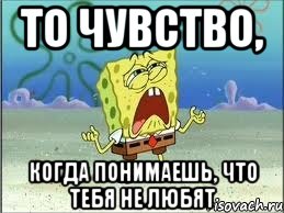 то чувство, когда понимаешь, что тебя не любят, Мем Спанч Боб плачет