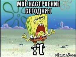 Моё настроение сегодня:( :*(, Мем Спанч Боб плачет