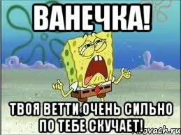 Ванечка! Твоя Ветти очень сильно по тебе скучает!, Мем Спанч Боб плачет