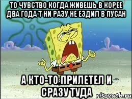 То чувство когда живешь в Корее два года т ни разу не ездил в Пусан А кто-то прилетел и сразу туда, Мем Спанч Боб плачет