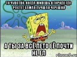 то чувство, когда живешь в городе где растет самая лучшая черешня а ты за всё лето её почти не ел, Мем Спанч Боб плачет