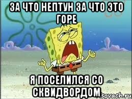 за что нептун за что это горе я поселился со сквидвордом, Мем Спанч Боб плачет