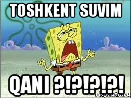 Toshkent suvim Qani ?!?!?!?!, Мем Спанч Боб плачет