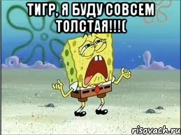 Тигр, я буду совсем толстая!!!( , Мем Спанч Боб плачет