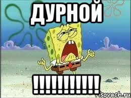 ДУРНОЙ !!!!!!!!!!!, Мем Спанч Боб плачет