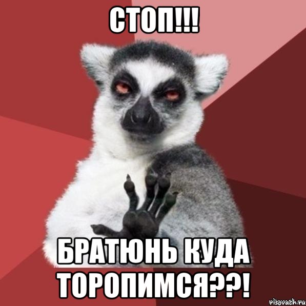 СТОП!!! БРАТЮНЬ КУДА ТОРОПИМСЯ??!, Мем Узбагойзя