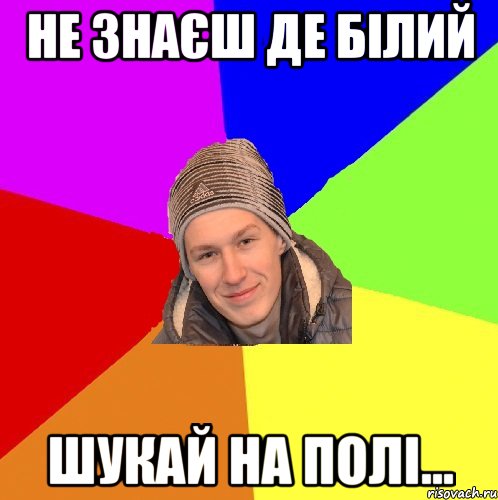 Не знаєш де білий Шукай на полі...