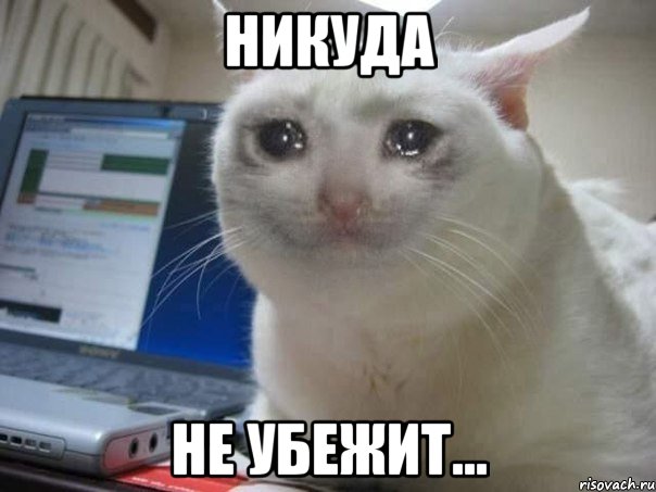 Никуда Не убежит...