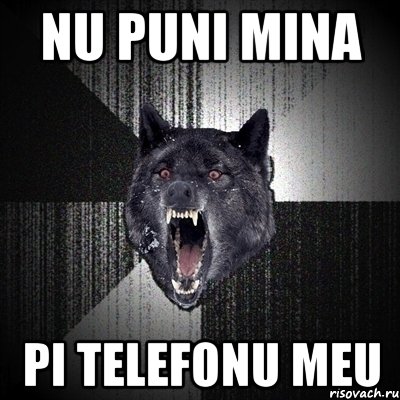 nu puni mina pi telefonu meu, Мем Сумасшедший волк