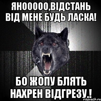 Янооооо,Відстань від мене будь ласка! Бо Жопу Блять нахрен відгрезу.!, Мем Сумасшедший волк