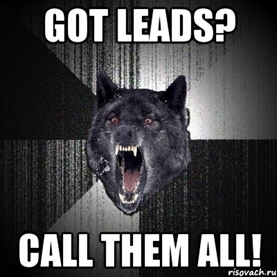 Got leads? CALL THEM ALL!, Мем Сумасшедший волк
