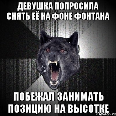 девушка попросила снять её на фоне фонтана побежал занимать позицию на высотке, Мем Сумасшедший волк