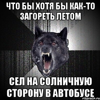 что бы хотя бы как-то загореть летом сел на солничную сторону в автобусе, Мем Сумасшедший волк