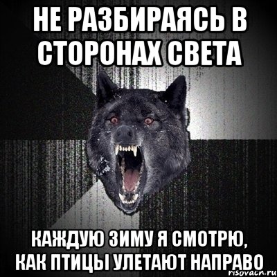 не разбираясь в сторонах света каждую зиму я смотрю, как птицы улетают направо, Мем Сумасшедший волк