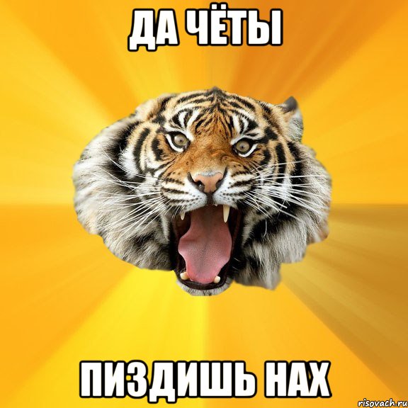 ДА ЧЁТЫ ПИЗДИШЬ НАХ, Мем СУМАСШЕДШИЙ ТИГР