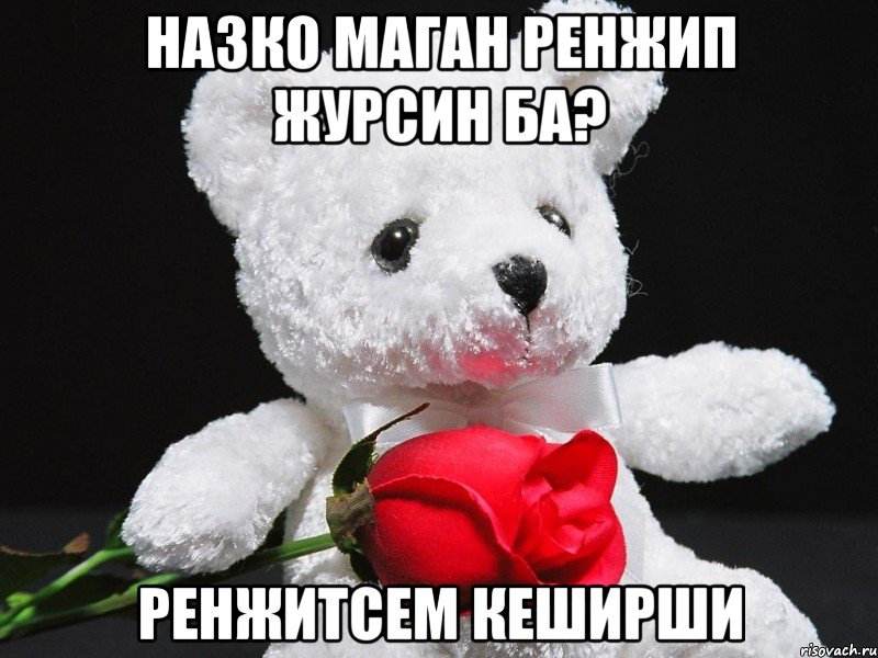 назко маган ренжип журсин ба? ренжитсем кеширши, Мем This teddy