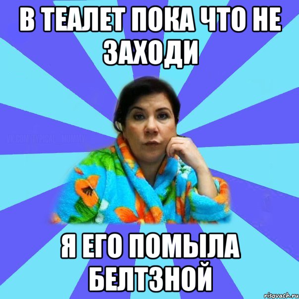 В теалет пока что не заходи я его помыла белтзной, Мем типичная мама