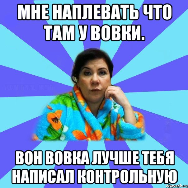 Мне наплевать что там у Вовки. Вон Вовка лучше тебя написал контрольную, Мем типичная мама