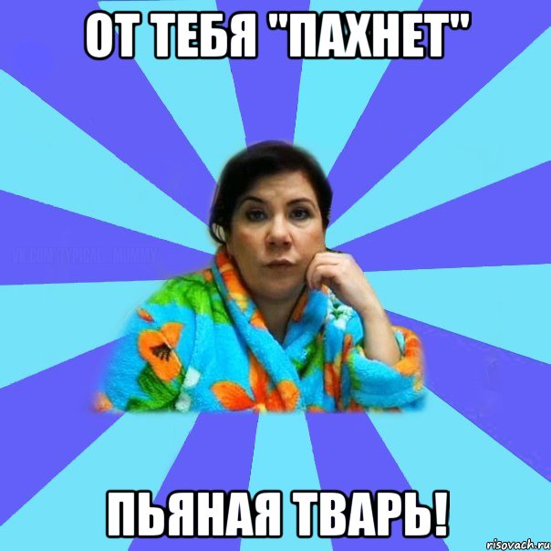 От тебя "пахнет" Пьяная тварь!, Мем типичная мама