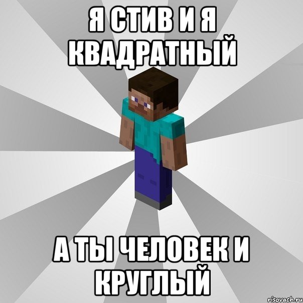 я стив и я квадратный а ты человек и круглый, Мем Типичный игрок Minecraft