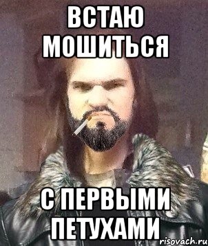 Встаю мошиться С первыми петухами