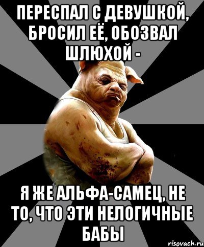 переспал с девушкой, бросил её, обозвал шлюхой - я же альфа-самец, не то, что эти нелогичные бабы