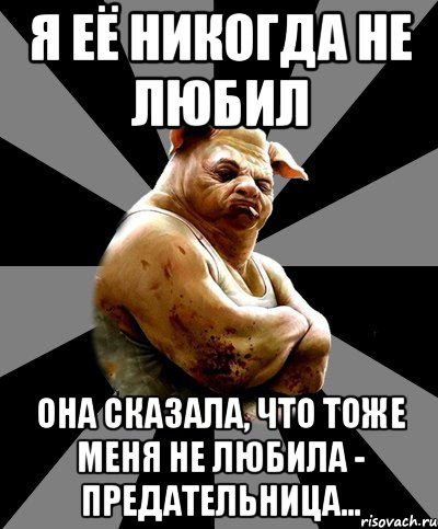 Я её никогда не любил Она сказала, что тоже меня не любила - предательница...