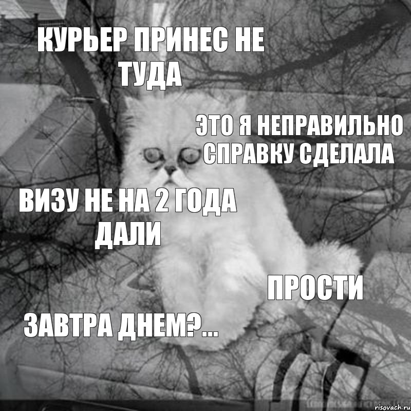 курьер принес не туда это я неправильно справку сделала визу не на 2 года дали прости завтра днем?...