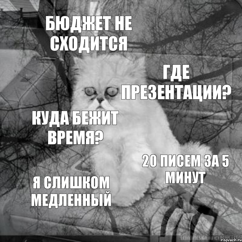 бюджет не сходится где презентации? куда бежит время? 20 писем за 5 минут я слишком медленный