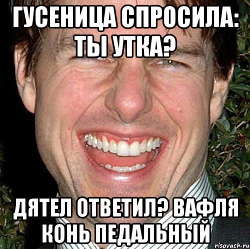 Гусеница спросила: Ты утка? Дятел ответил? вафля конь педальный, Мем Том Круз