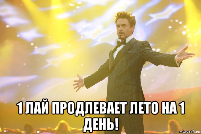  1 лай продлевает лето на 1 день!, Мем Тони Старк (Роберт Дауни младший)
