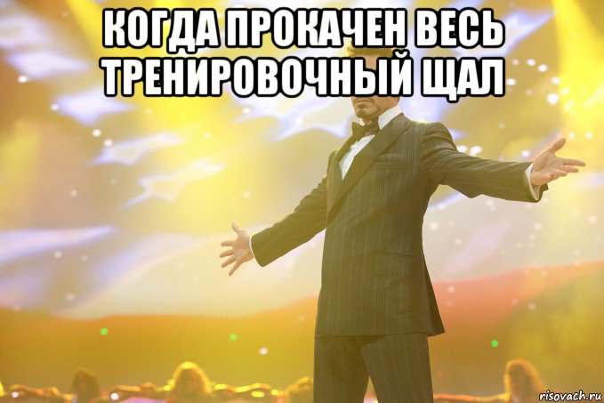 Когда прокачен весь тренировочный щал , Мем Тони Старк (Роберт Дауни младший)