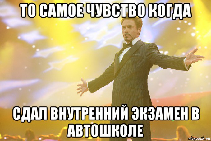 То самое чувство когда Сдал внутренний экзамен в автошколе, Мем Тони Старк (Роберт Дауни младший)