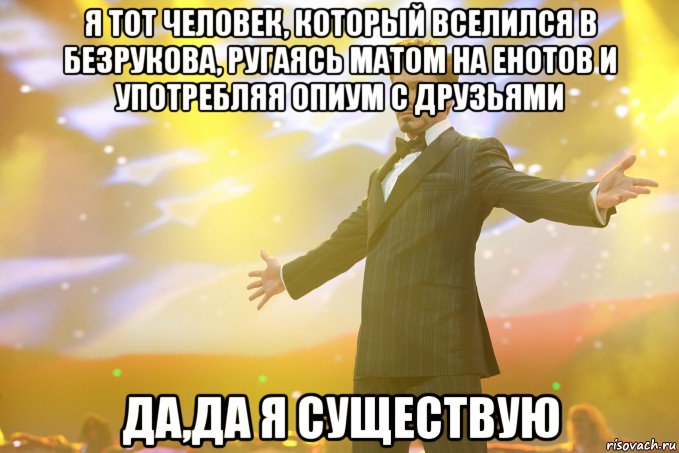 Я тот человек, который вселился в Безрукова, ругаясь матом на енотов и употребляя опиум с друзьями Да,да я существую, Мем Тони Старк (Роберт Дауни младший)