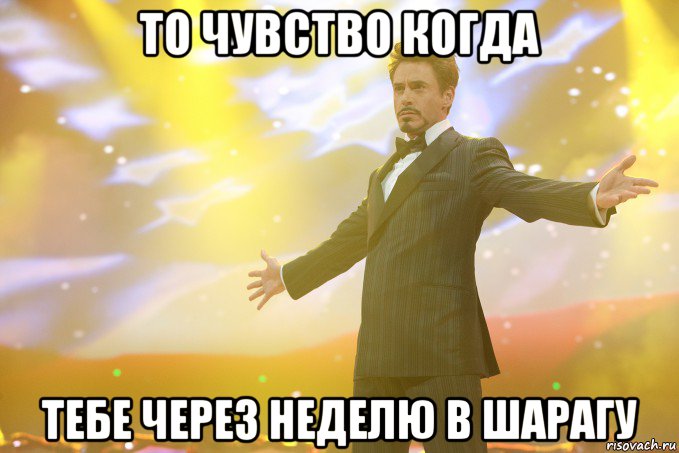 то чувство когда тебе через неделю в шарагу, Мем Тони Старк (Роберт Дауни младший)