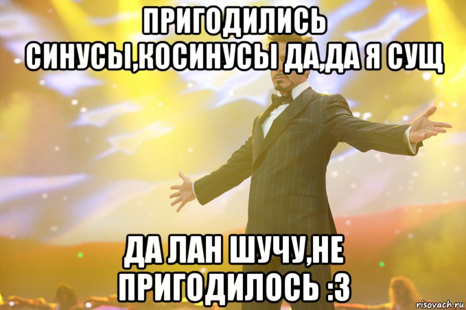 Пригодились синусы,косинусы Да,да я сущ Да лан шучу,не пригодилось :3, Мем Тони Старк (Роберт Дауни младший)