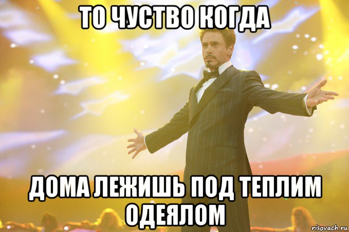 То чуство когда дома лежишь под теплим одеялом, Мем Тони Старк (Роберт Дауни младший)