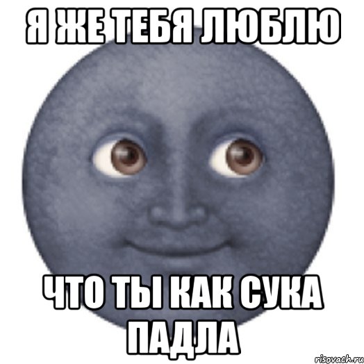 Я же тебя люблю Что ты как сука падла