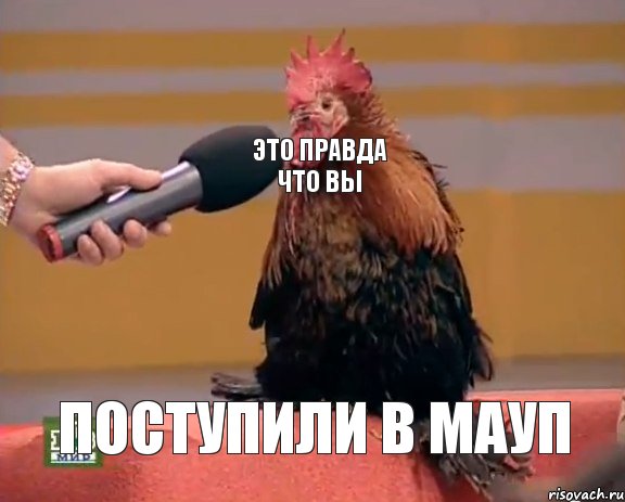 Это правда что вы поступили в МАУП