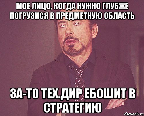 мое лицо, когда нужно глубже погрузися в предметную область За-то тех.дир ебошит в стратегию, Мем твое выражение лица