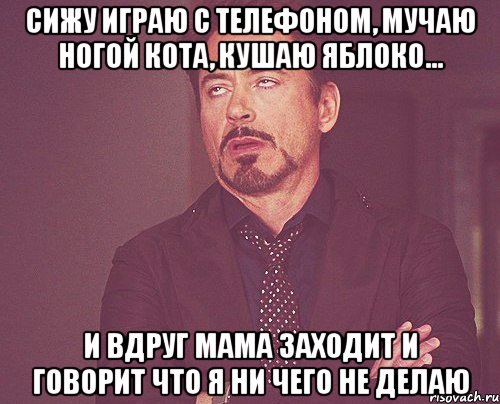 Сижу играю с телефоном, мучаю ногой кота, кушаю яблоко... И вдруг мама заходит и говорит что я ни чего не делаю, Мем твое выражение лица