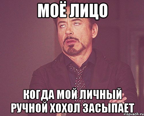 Моё лицо Когда мой личный ручной хохол засыпает, Мем твое выражение лица
