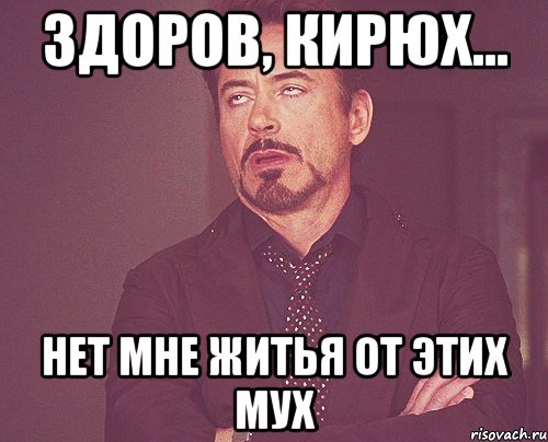 здоров, Кирюх... нет мне житья от этих мух, Мем твое выражение лица