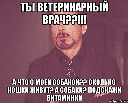 Ты ветеринарный врач??!!! А что с моей собакой?? Сколько кошки живут? А собаки? Подскажи витаминки, Мем твое выражение лица