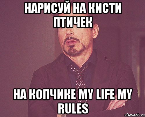 нарисуй на кисти птичек на копчике my life my rules, Мем твое выражение лица